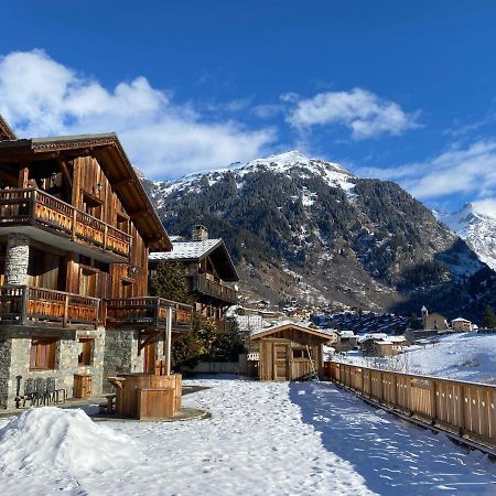 Chalet Des Trappeurs Coeur Vanoise 15 Persons La Plagne Eksteriør bilde