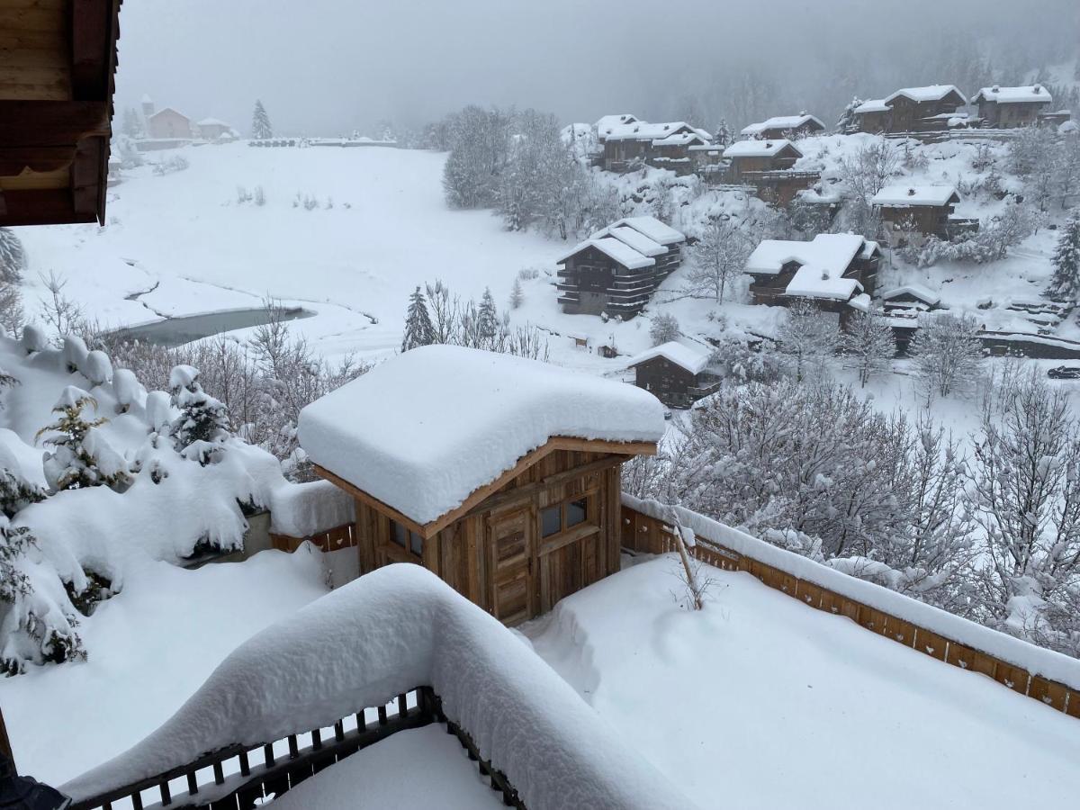 Chalet Des Trappeurs Coeur Vanoise 15 Persons La Plagne Eksteriør bilde